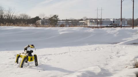 Beat 17: Dog and snow coda