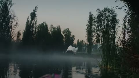 Beat 11: Theory about light