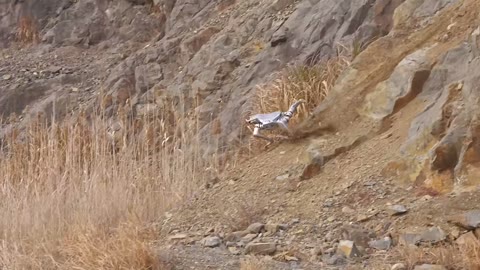 Beat 6: Quarry descent