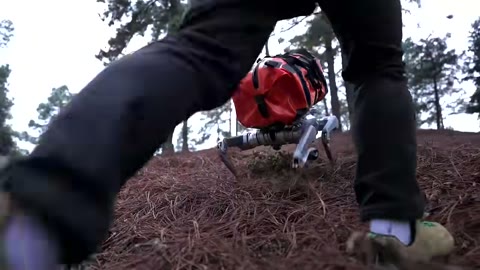 Beat 11: Orange pack, hiking