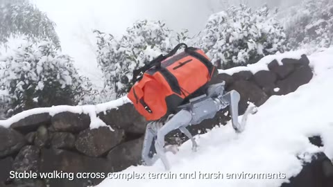 Beat 12: Snow climb