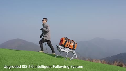 Beat 14: Following system