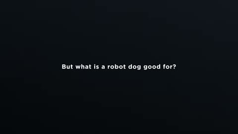 Beat 4: Robot dog question