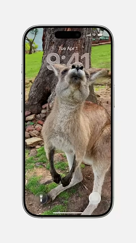 Beat 8: Kangaroo lock screen