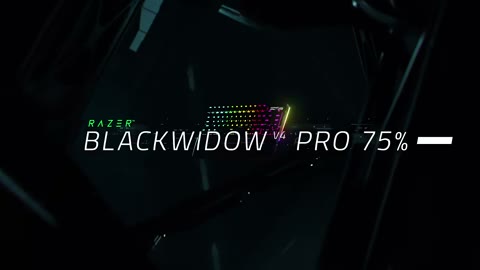 Beat 1: Title wipe