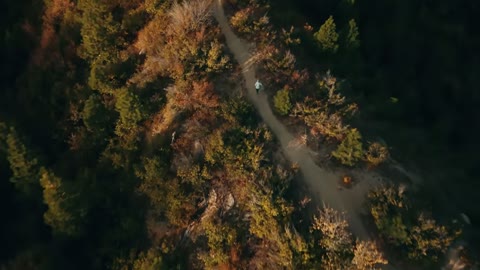 Beat 15: Autumn trail