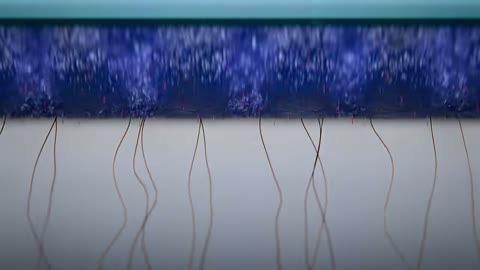 Beat 15: Microfibre and hair