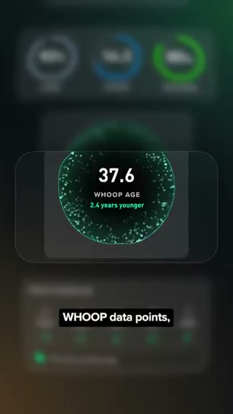 Beat 12: Daily metrics