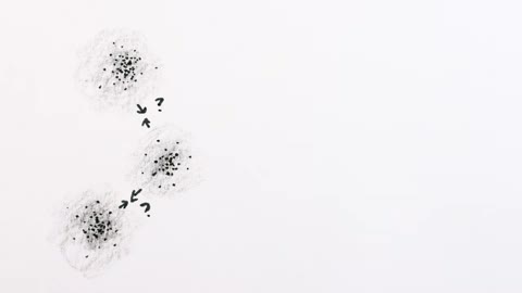 Beat 13: Unknown first stars