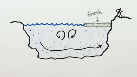Beat 15: Ocean cross-section