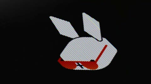 Beat 8: Rabbit with shades