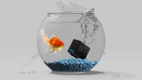 Beat 5: Fish bowl drop