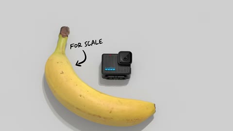 Beat 9: Banana for scale
