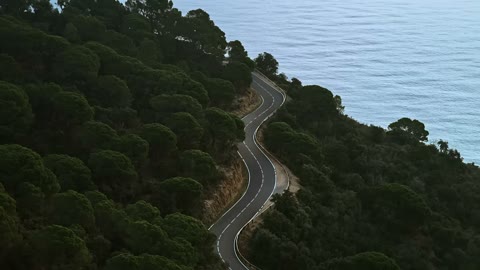 Beat 2: Forest road