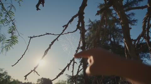 Beat 1: Reaching for the web