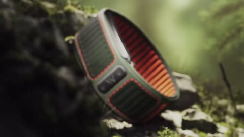Beat 3: Band on moss