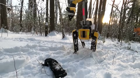 Beat 1: Snow glove