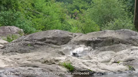 Beat 4: Quarry slope and stream