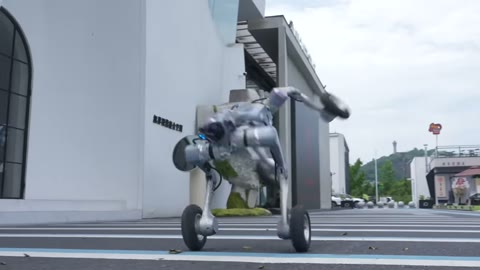 Beat 9: Wheel drive to plaza