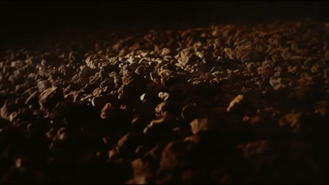 Beat 6: Soil