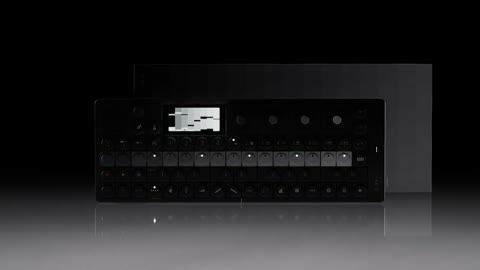 Beat 9: Front view appears
