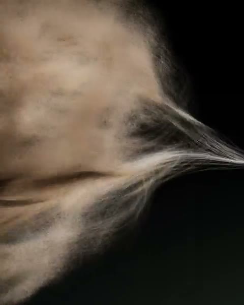 Beat 1: Fibre swirl