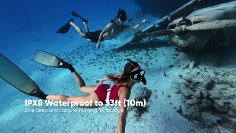 Beat 4: Wreck dive