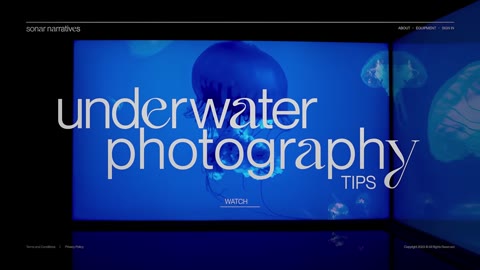 Beat 9: Underwater site