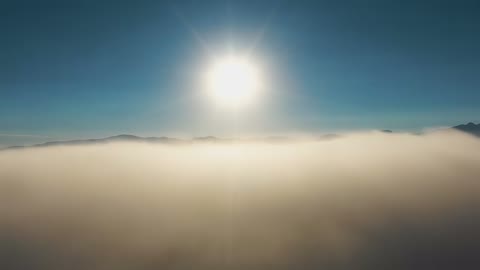 Beat 28: Sun through trees