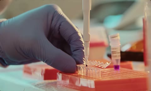 Beat 6: Pipetting