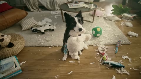 Beat 16: Dog reprise
