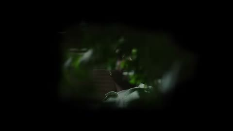 Beat 6: Lens into black