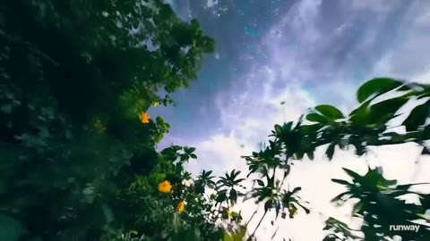 Beat 11: Starry sky climb