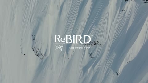 Beat 26: ReBIRD logo