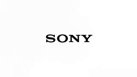 Beat 22: Sony logo