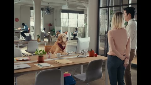 Beat 10: Wide office