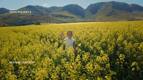 Beat 19: Wave in the field