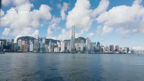 Beat 35: Harbour views
