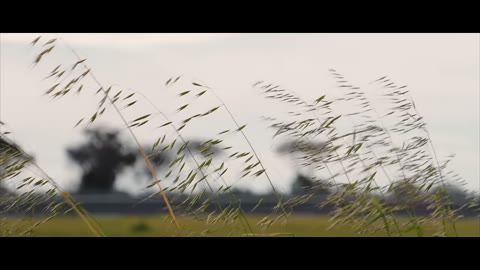 Beat 2: Grass