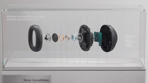 Beat 7: Display case