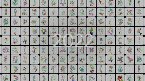 Beat 15: Protein grid builds
