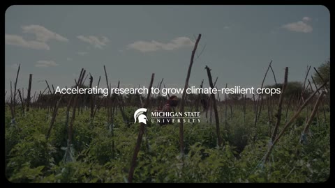 Beat 30: Climate-resilient crops