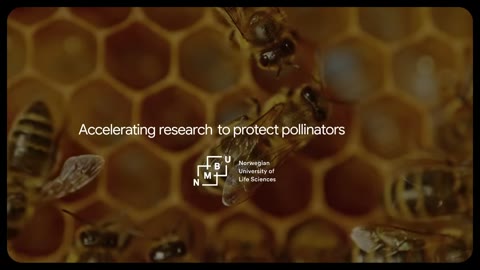 Beat 32: Pollinators