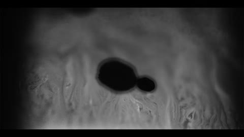 Beat 2: Cells and tissue