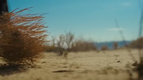 Beat 1: Tumbleweed