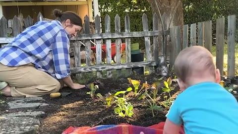 Beat 19: Planting