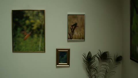 Beat 1: Wall of birds