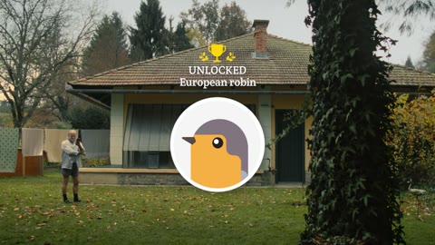 Beat 19: Robin sighting