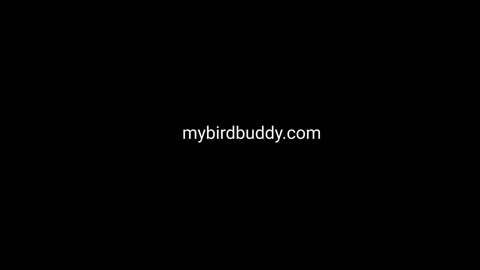Beat 23: URL