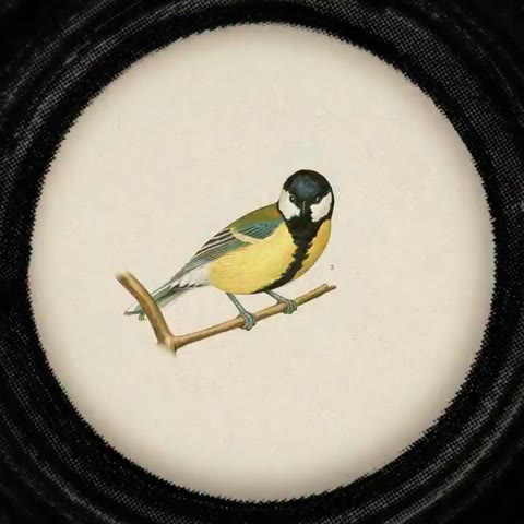 Beat 2: Lens opens